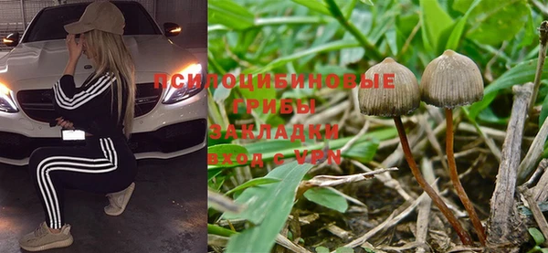 ECSTASY Пролетарск