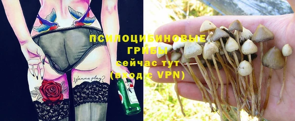jwh Армянск