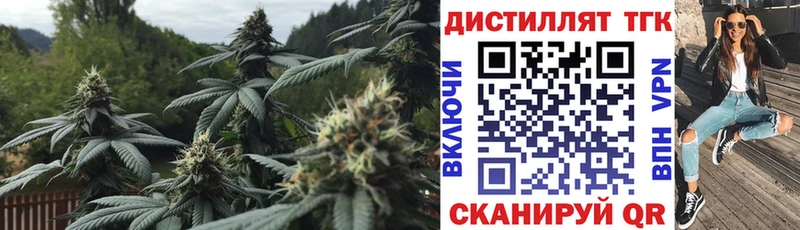 ТГК Wax  Артёмовск 