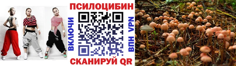 где найти Артёмовск Галлюциногенные грибы MAGIC MUSHROOMS